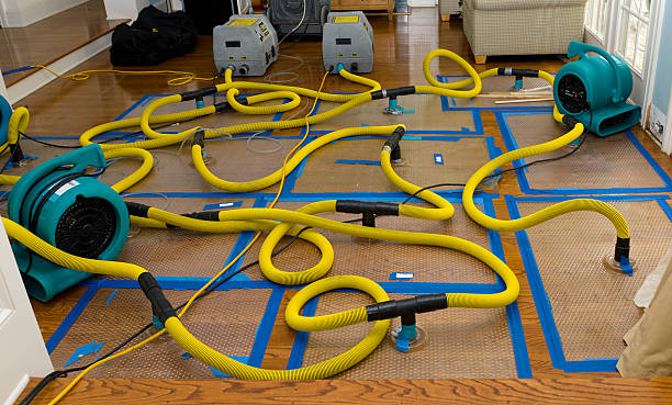 Professional Basement Flood Cleanup technician working in Georgetown, ME